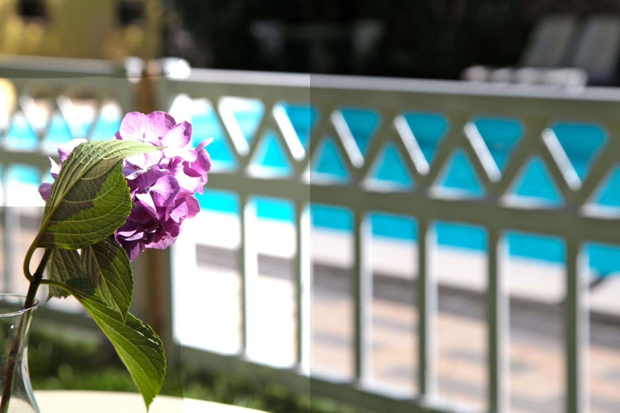 Hotel San Filis 산펠리체델바나코 외부 사진